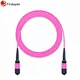 8 fiber mpo om4 patch cable